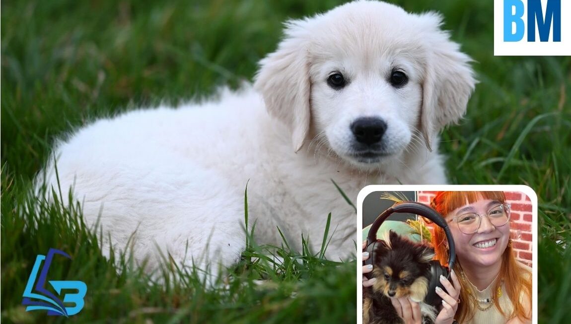 What PuppygirlXD Says About Internet Culture Today