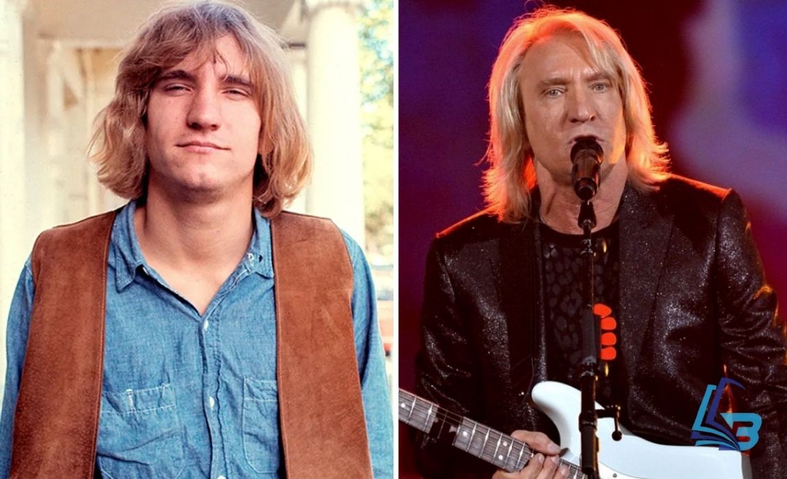 Joe Walsh Net Worth