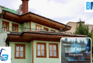 What Is Kingxomiz? Everything You Need to Know