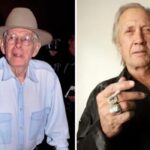 Harry Morgan Net Worth